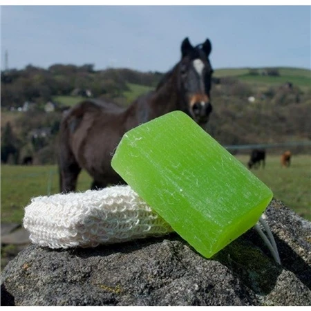 EcoRider Vegan Shampoo 4 EcoRider Vegan Shampoo - Image 4