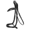 Schockemohle Equitus Theta Bridle