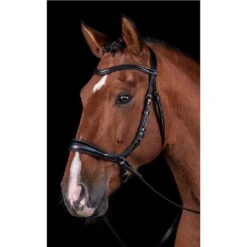 Schockemohle Equitus Theta Bridle -Equestrian Supplies Store 67233 3