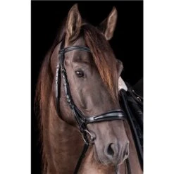 Schockemohle Equitus Theta Bridle -Equestrian Supplies Store 67233 4