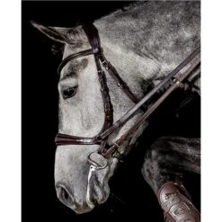 Schockemohle Equitus Theta Bridle -Equestrian Supplies Store 67233 5