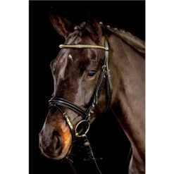 Schockemohle Heidelberg Flash Bridle -Equestrian Supplies Store 67234 2