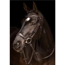 LeMieux Arika Drop Bridle -Equestrian Supplies Store 67406 2