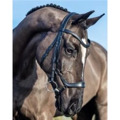 LeMieux Arika Drop Bridle -Equestrian Supplies Store 67406 3
