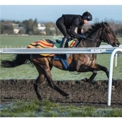 Racesafe Race Motion 2 Body Protector -Equestrian Supplies Store 67426 5