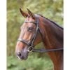 Shires Hunter Bridle