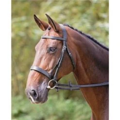 Shires Hunter Bridle