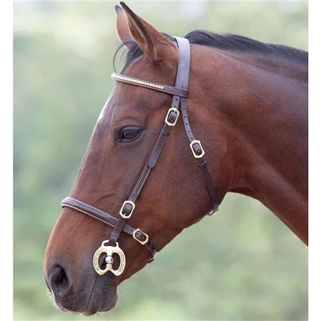 Shires Blenheim Clincher In Hand Bridle 2 Shires Blenheim Clincher In Hand Bridle - Image 2