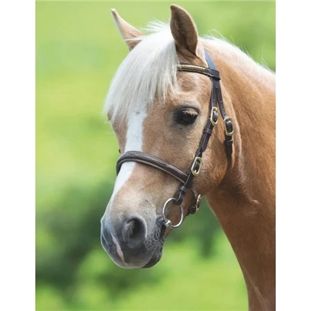 Shires Blenheim Clincher In Hand Bridle 1 Shires Blenheim Clincher In Hand Bridle