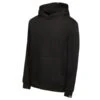 LeMieux Mens Hoodie